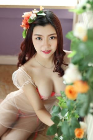电影野兽们的战争_高清蓝光在线观